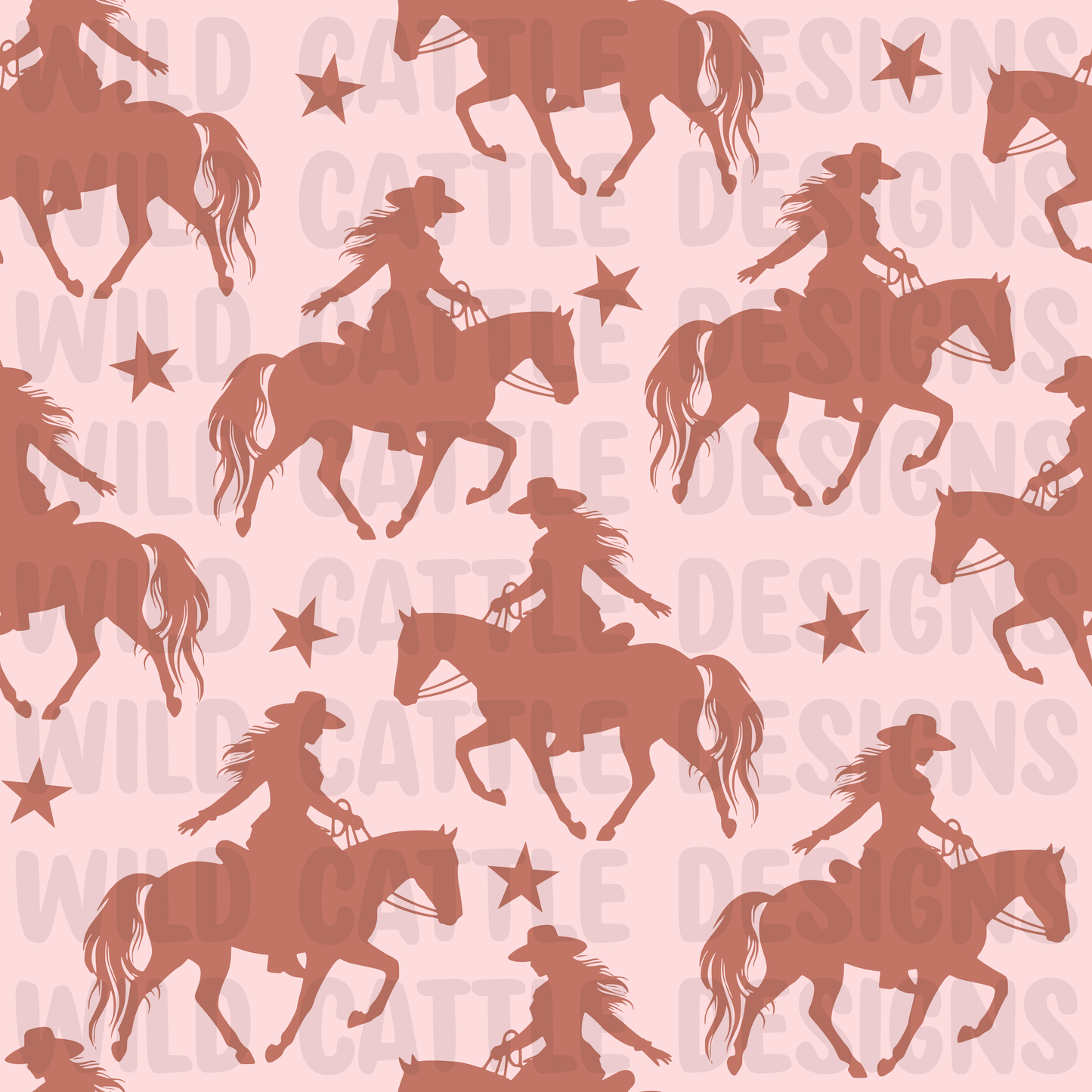 Desert cowgirl and stars