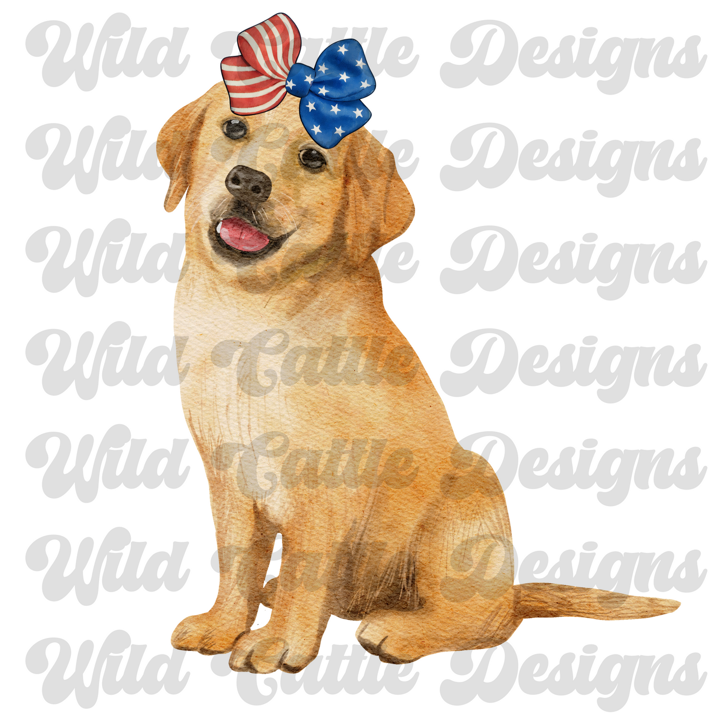 RWB bow retriever png