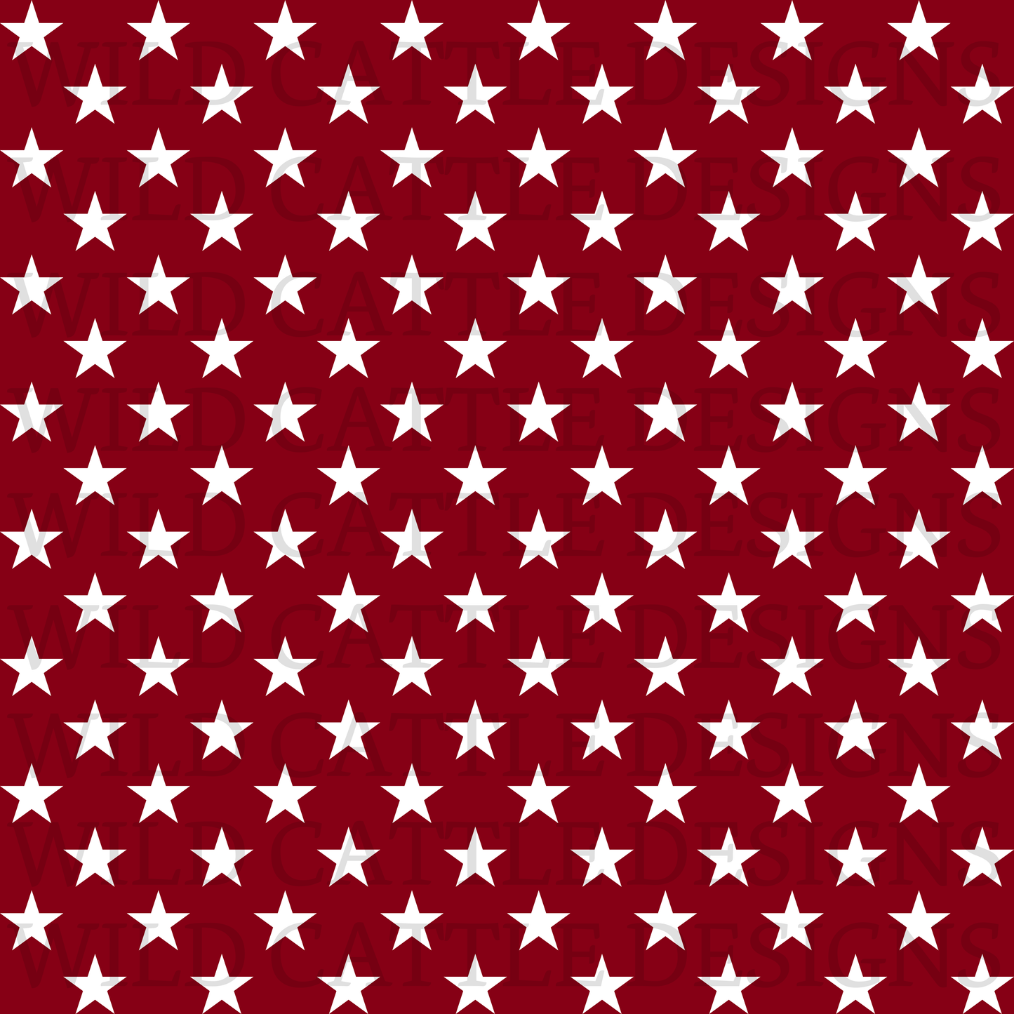 Vintage American cowgirl stars seamless