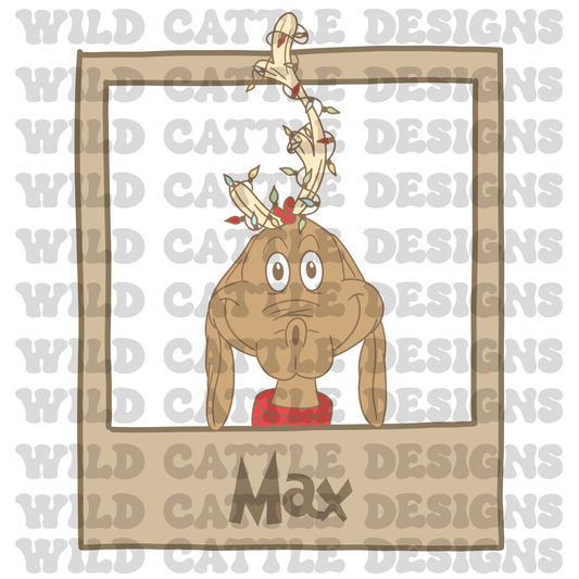 Max polaroid png