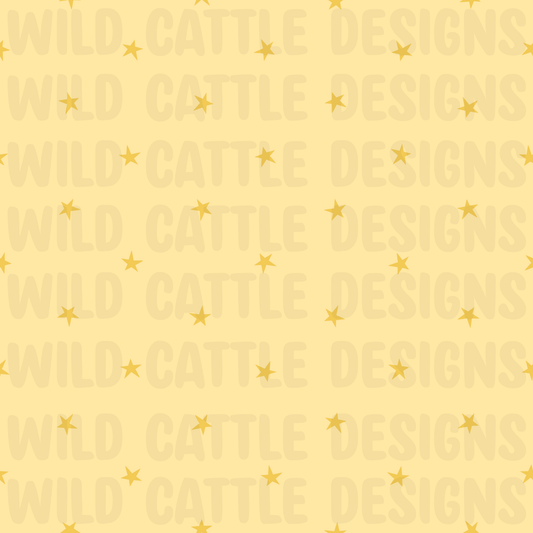 Precious boy stars