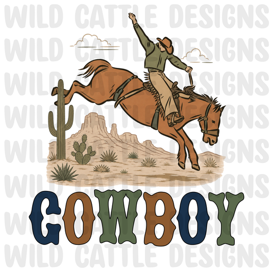 Rustic cowboy png