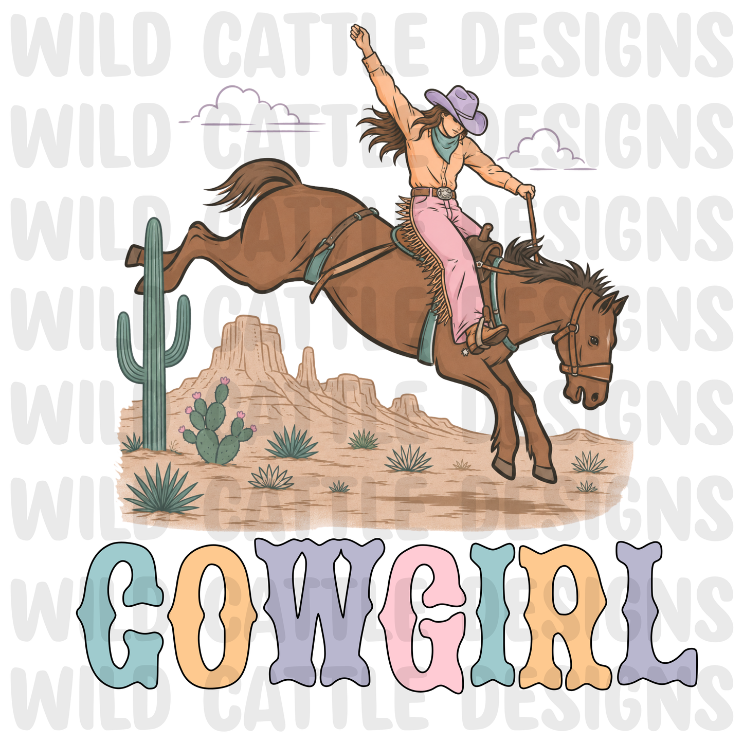 Rustic cowgirl png