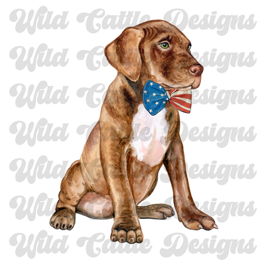 RWB bowtie lab png