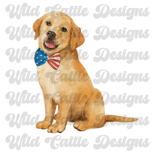 RWB bowtie retriever png