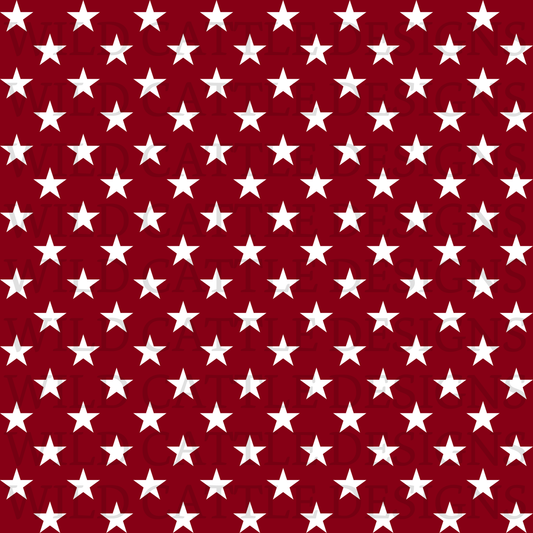 Vintage American cowgirl stars seamless